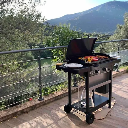 Magnifique Bergerie Corse Du 17eme Siecle A Proximite Des Plages * Eccica-Suarella (Corsica)